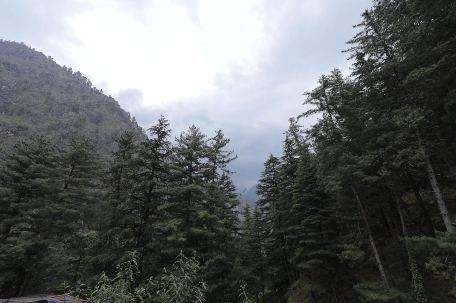 Shangri-La Rooms & Restaurant Kasol Dış mekan fotoğraf